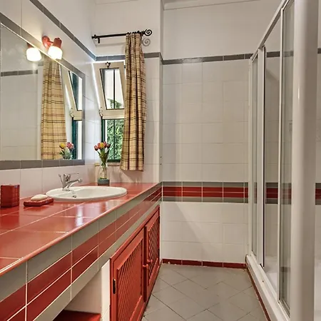 Jonas 阿尔布费拉